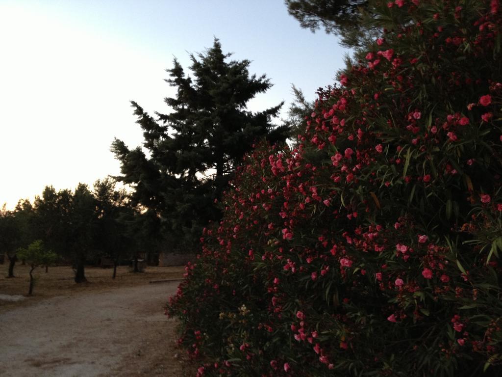 La Giara San Vito Lo Capo Villa Кастелуцо Екстериор снимка