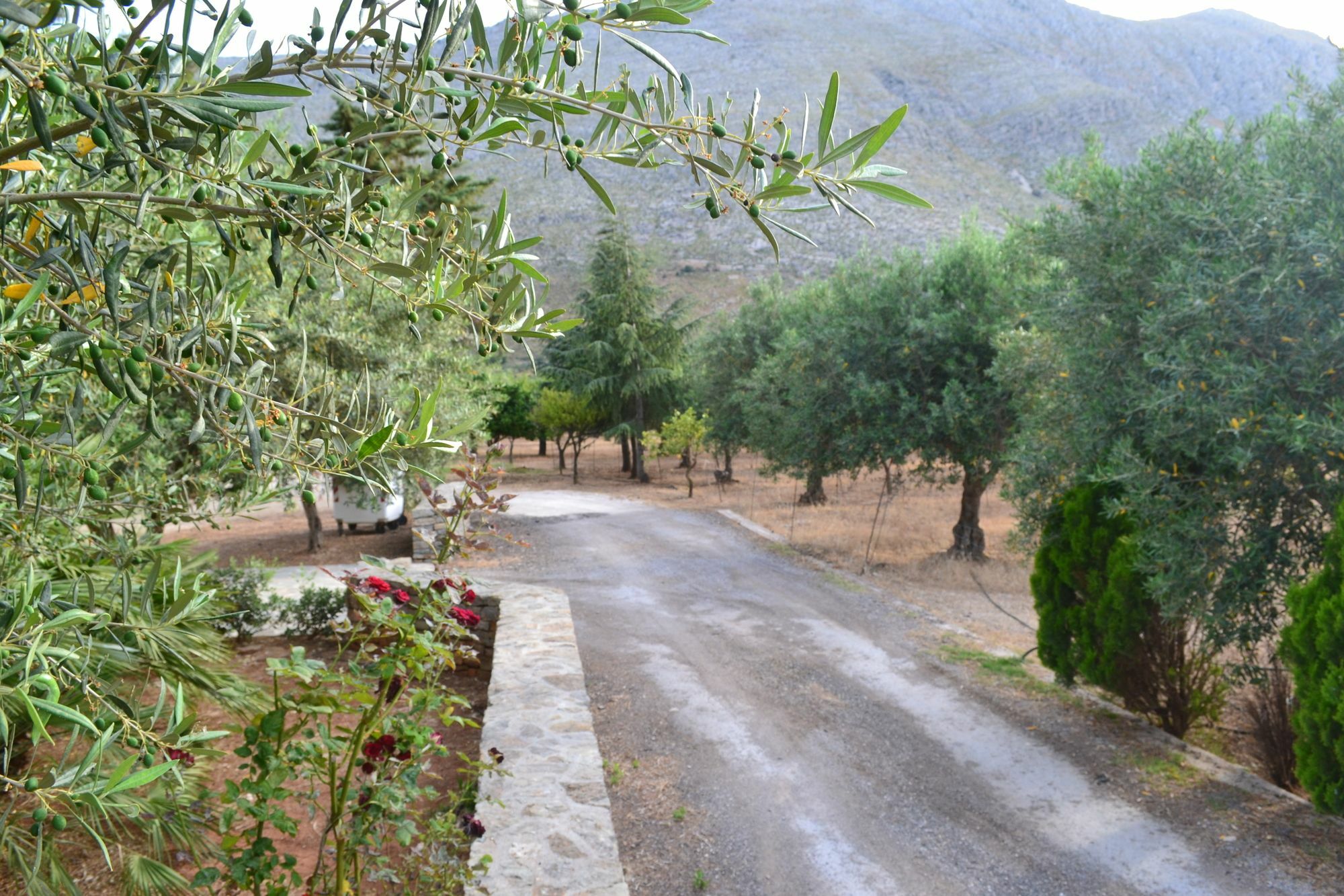 La Giara San Vito Lo Capo Villa Кастелуцо Екстериор снимка